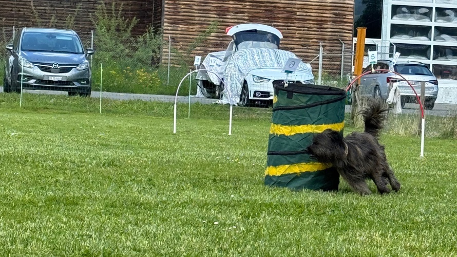 Zukunft des Hundesportplatzes KV Wolhusen sichern