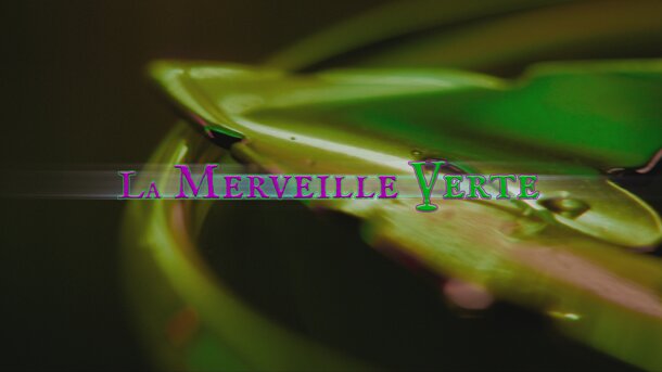  Schweizer Kulturfilm: La Merveille Verte 
