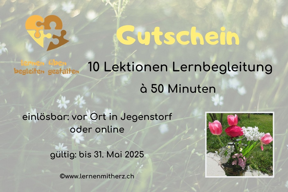10x Lernbegleitung (10 Lektionen à 50 Minuten)