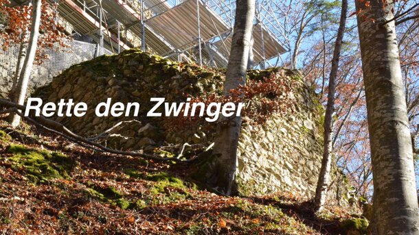  Rette den Zwinger bzw. die Stützmauer der Ruine Jagdburg 