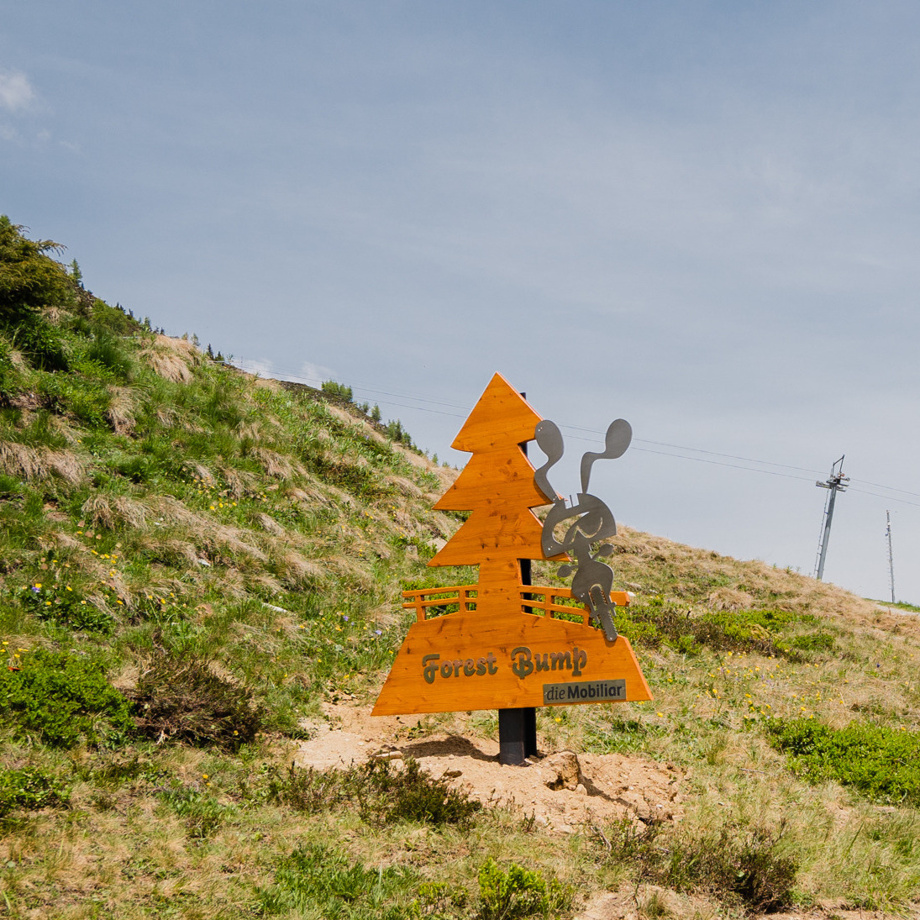 Trailnaming "into the Wild"