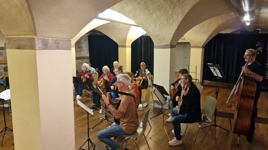 zupf.helvetica - das Schweizer Mandolinen- und Gitarrenorchester des Zupfmusikverbands Schweiz