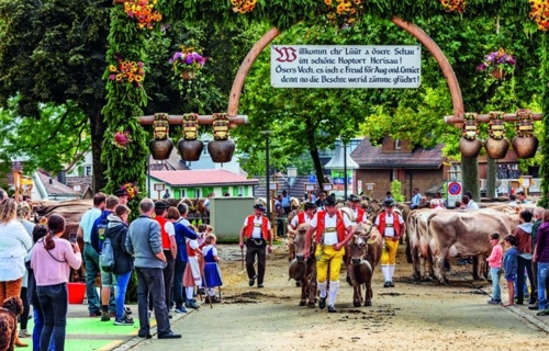 Viehzuchgemeinschaft Herisau