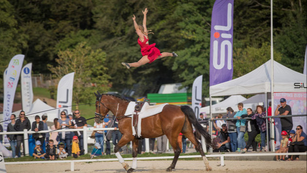 Eine neue Infrastruktur für den Stall Montmirail