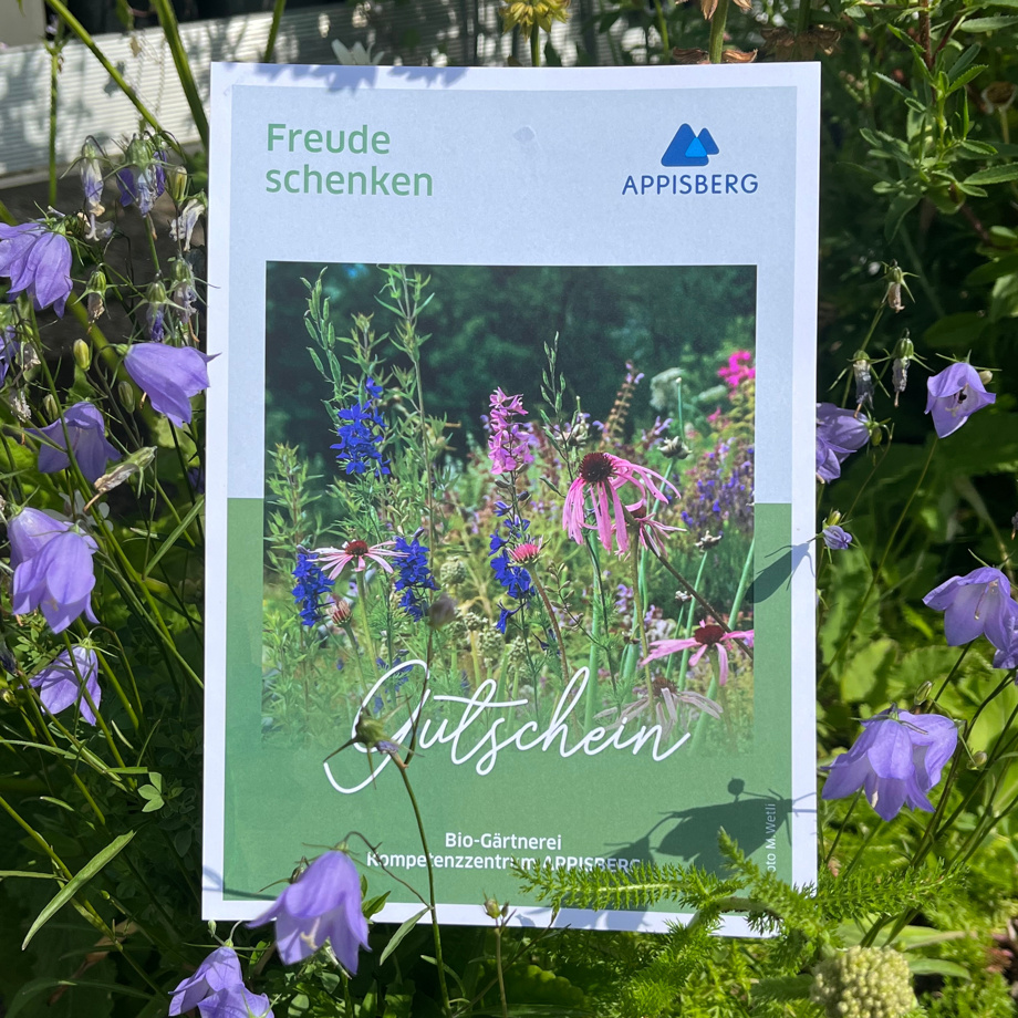 Guthaben bei der Bio-Gärtnerei Appisberg