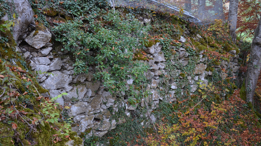 Rette den Zwinger bzw. die Stützmauer der Ruine Jagdburg