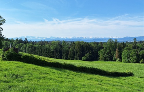 Der biodiverse Rebgarten Wermatswil