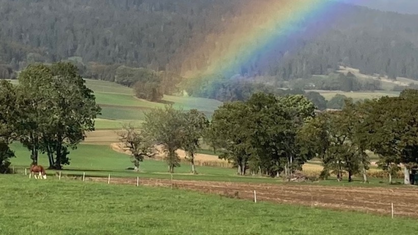 Une infrastructure adaptée pour la thérapie animale