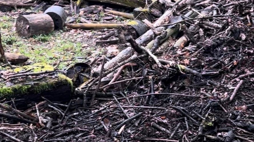 Verein Spielgruppe Nana