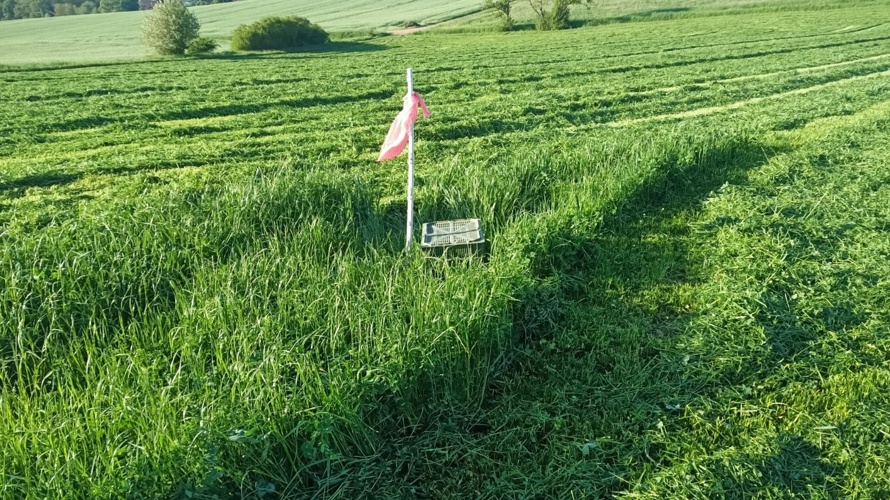 Drohne zur Rehkitzsuche