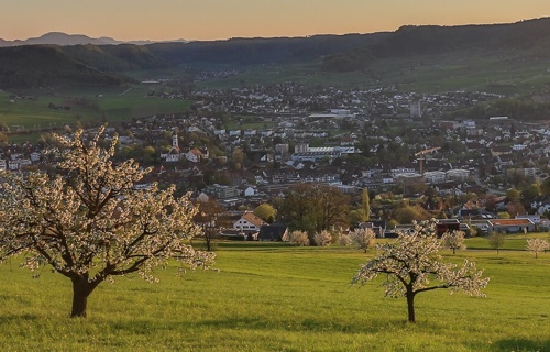 Raiffeisenbank Regio Frick-Mettauertal