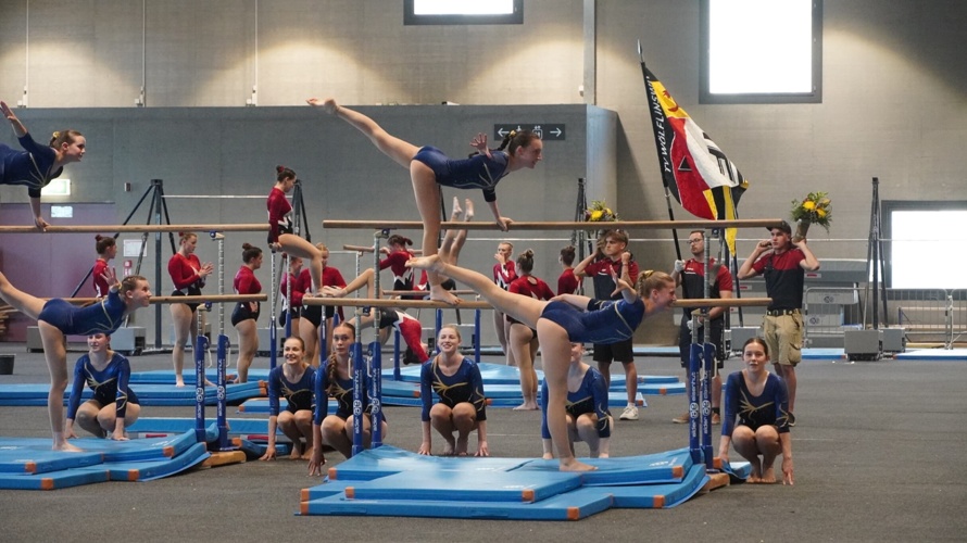 Neue Turndressli für den DTV Wölflinswil