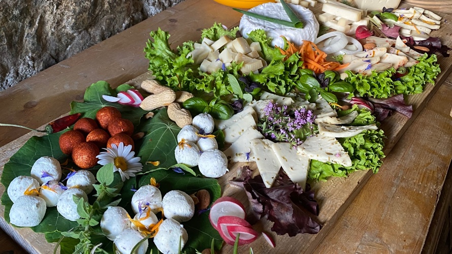 Ausbau Stall Alpe Hannig Saas-Fee