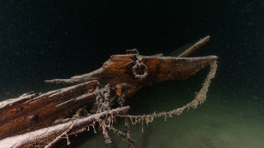 Die geheimnisvollen Wracks im Zürichsee. Eine Ausstellung.