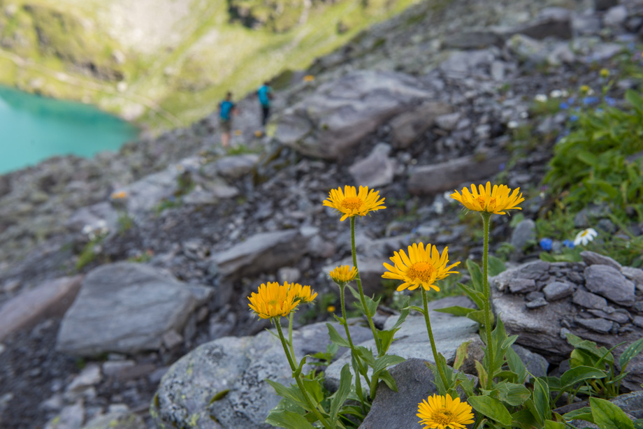 Gutscheine im Wert von CHF 25,-
