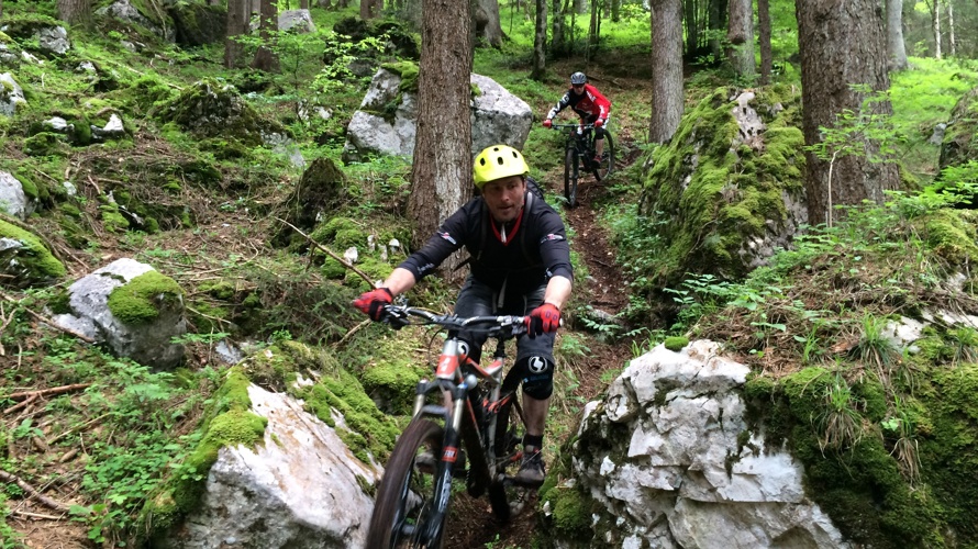 Biketrail Ingenbohlerwald