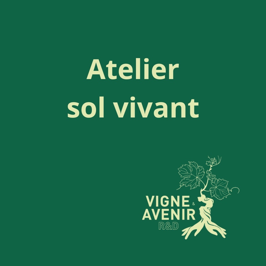 Atelier sol vivant