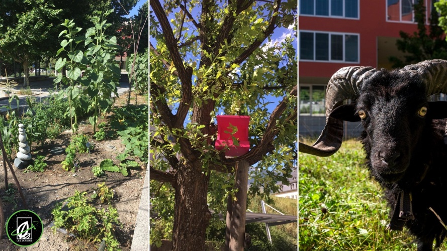 Les Communs, le makerspace de Sierre