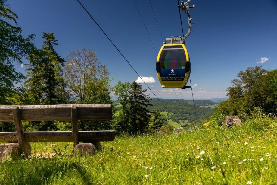 Bahnfahrt inkl. Verpflegung