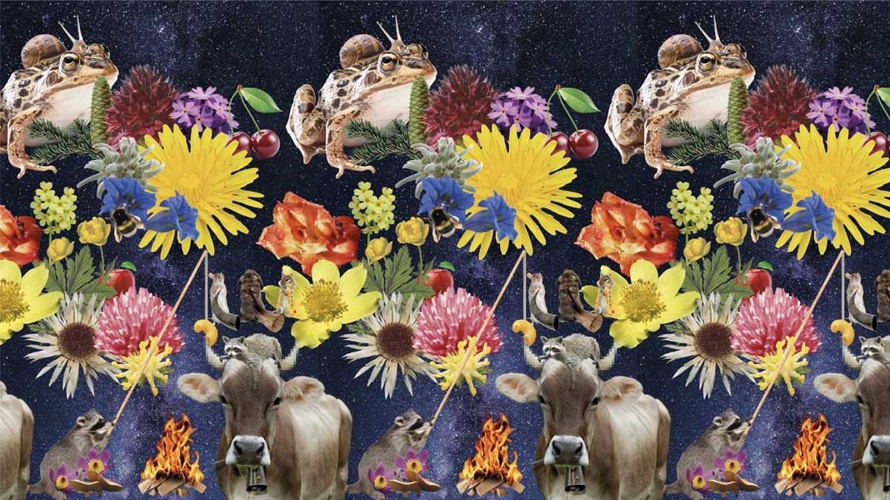 GALA GAlerie LAuterbrunnen