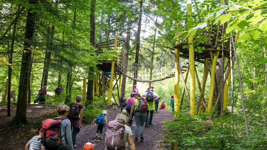 Das Ohr - Neue Installation auf dem Holzweg Thal