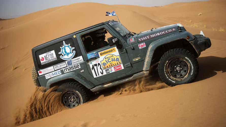 Les gazelles du Valais