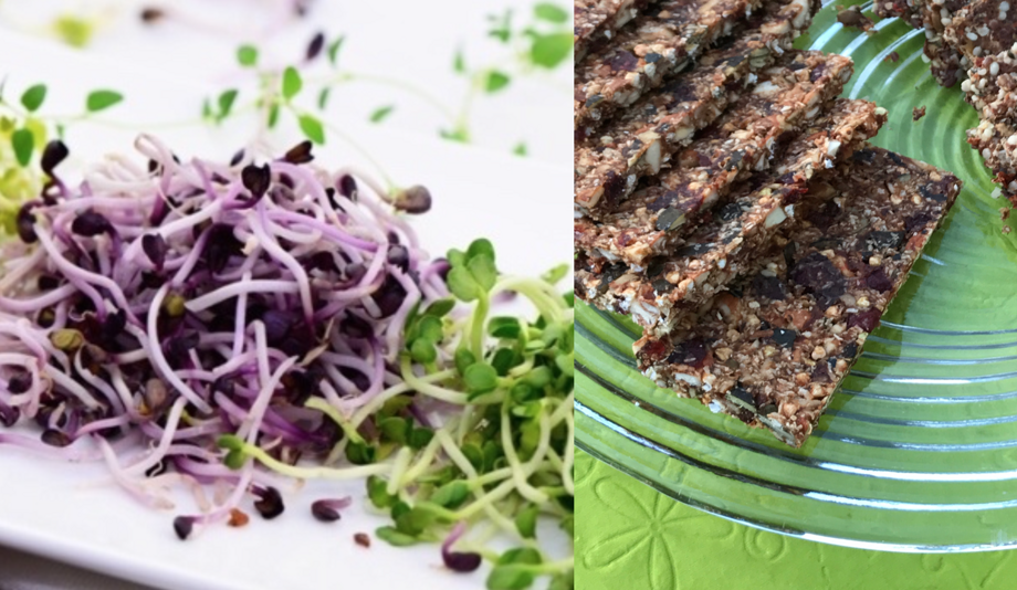 Kurs "Darmverständnis" Teil 1