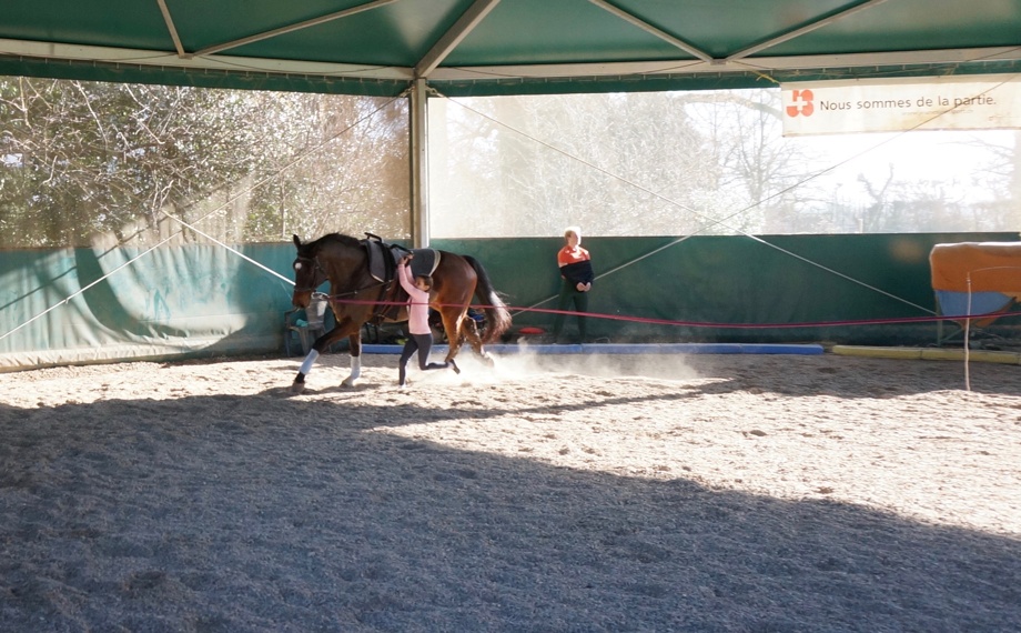 Visite d'un entraînement + un tour sur le cheval au pas.