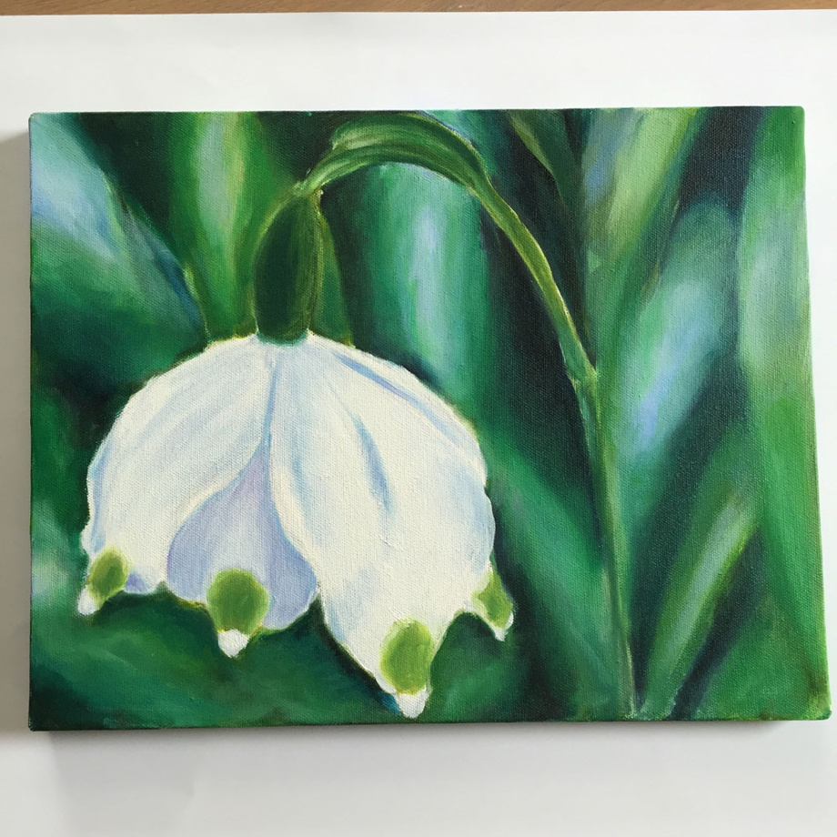 Repodruck Heidi Schafflützel 2