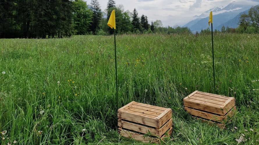 Rettet die Rehkitze im Kandertal