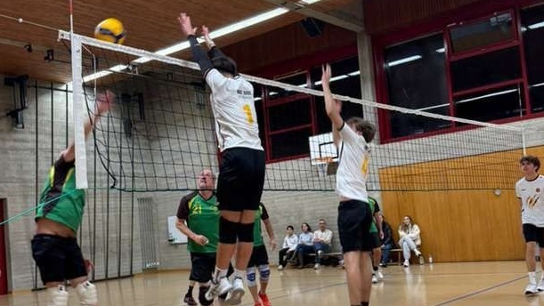 Spielerlizenzen und Mannschaftskleidung VBC Gatos Staufen