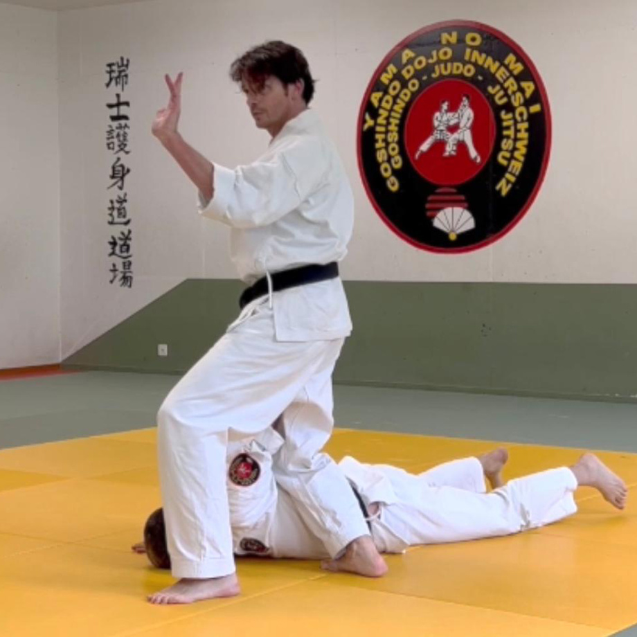 Kampfkunst - Einführungsworkshop