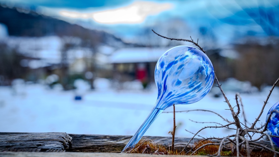 Instandstellung Vereinshaus + Wege