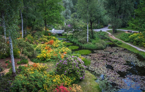 Der Park Seleger Moor braucht Ihre Hilfe