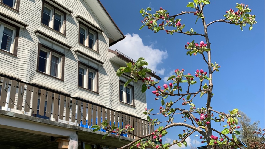 Gottis und Göttis fürs B&B Zimmer & z'Morgä Schönenboden gesucht