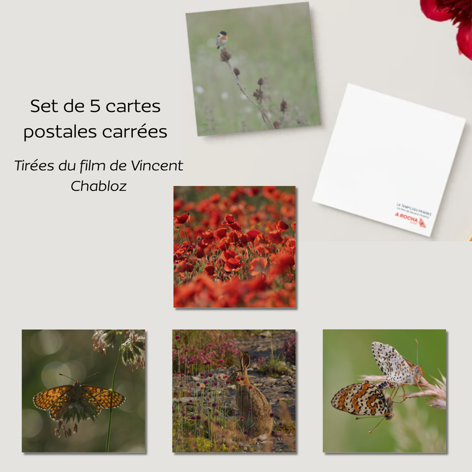 5 cartes postales du film carrées