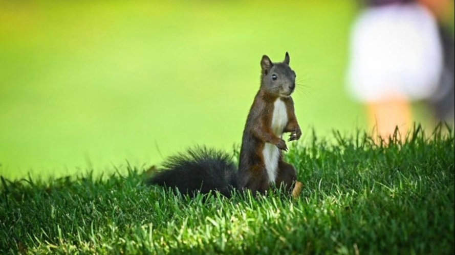Un engagement vers la durabilité - Association du golf de Sion