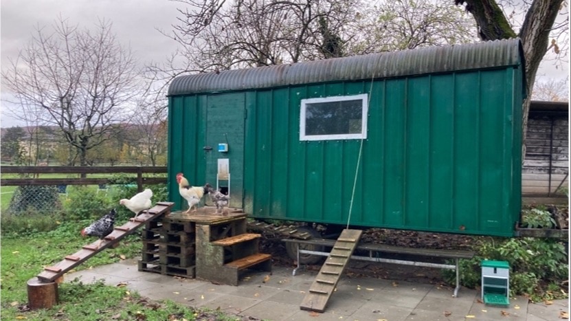 Barrierefreier Hühnerstall