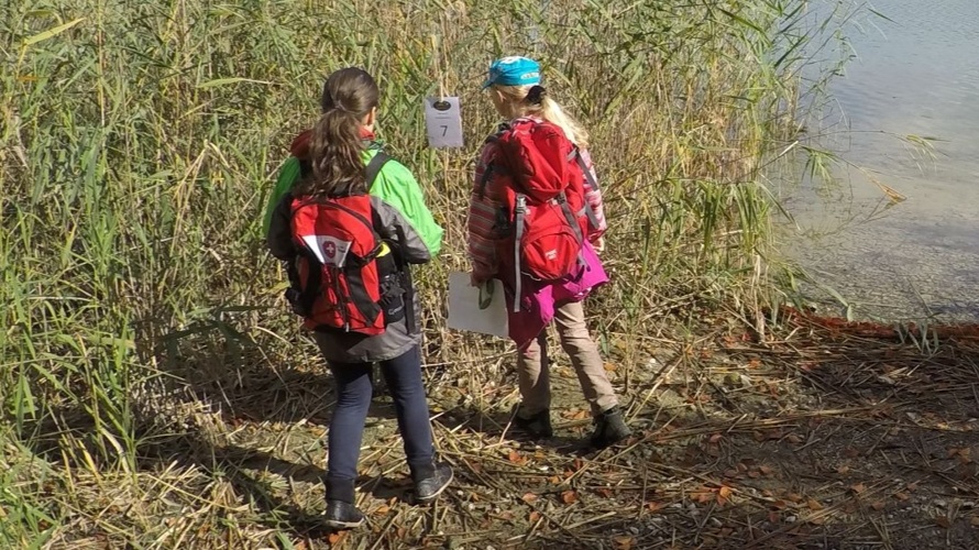 Junior Ranger - Nachwuchs für unsere Natur