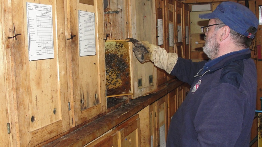 Erweiterung Lehrbienenstand