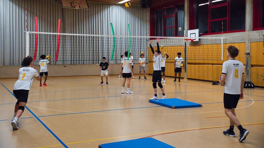 Spielerlizenzen und Mannschaftskleidung VBC Gatos Staufen