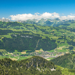 Lokalbonus Obersimmental-Saanenland 2027