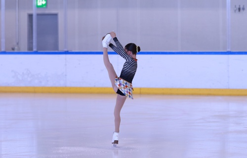 Eislauf-Club Heuried-Zürich