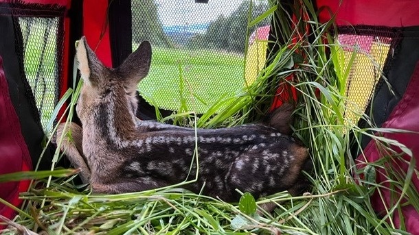2 neue Wärmebilddrohnen für die Rehkitzrettung March