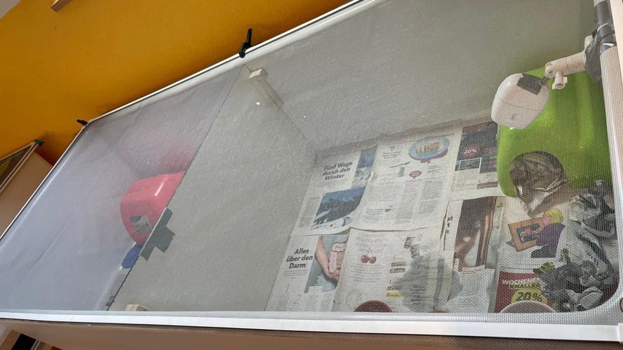 Hilfe für unsere Igelbabies