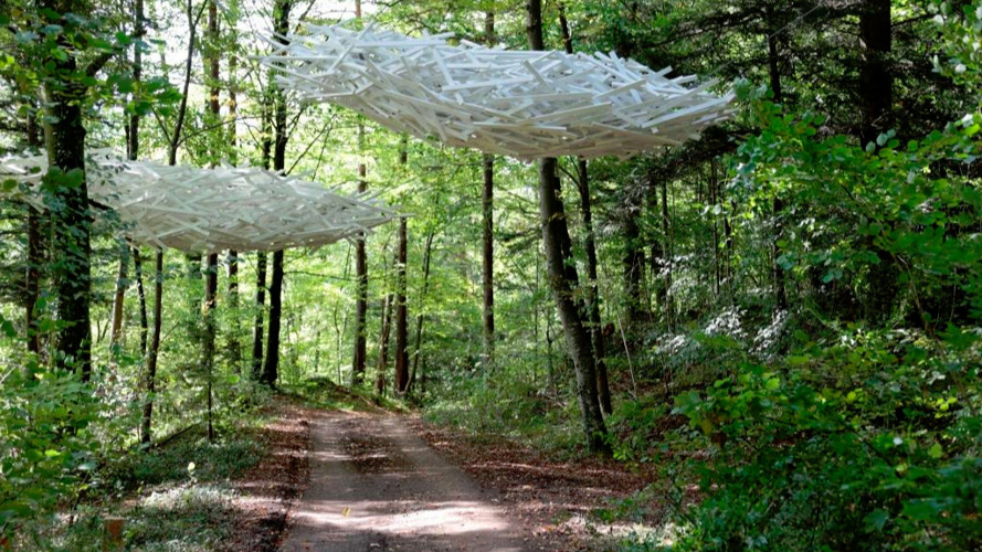 Das Ohr - Neue Installation auf dem Holzweg Thal