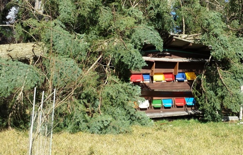 Bienenhaus-Pfannenstiel