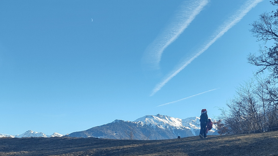 Construction lieu de repli