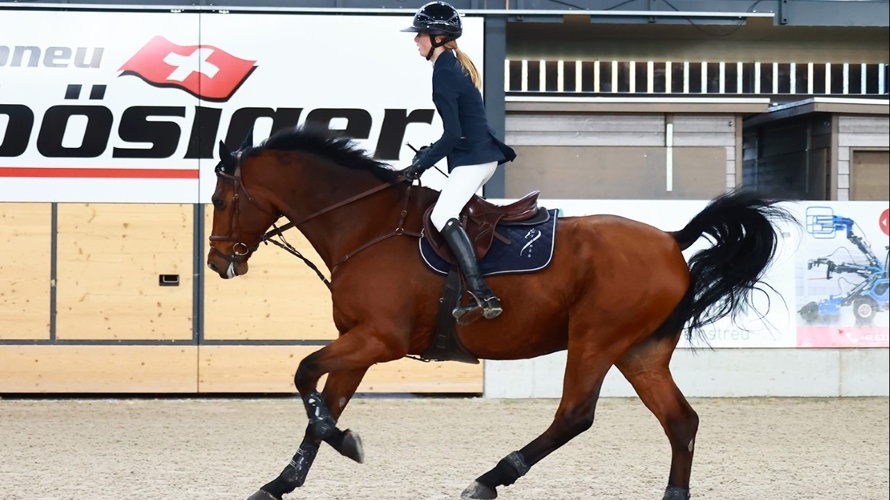 Le saut d'obstacle, mon école de vie - Eugénie Bornand