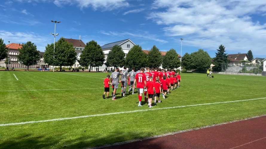 Kunstrasen-Projekt FC Niederwil